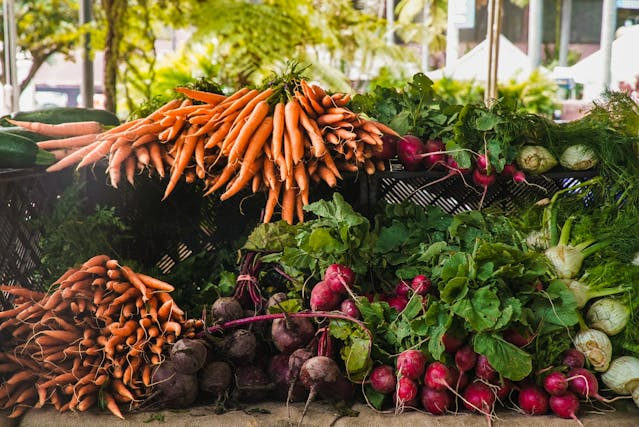 Reconnect | The Aussie Diet: Nutritional Guidance for Optimal Wellness Image Alt